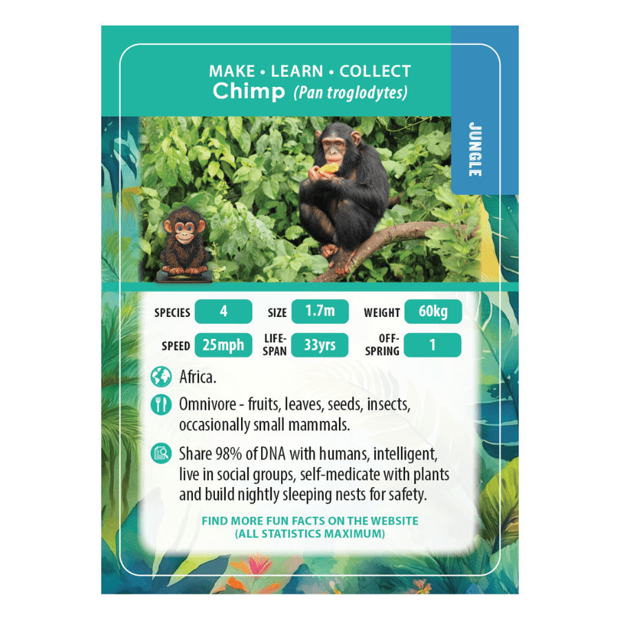 Chimp Crystal Art Buddy Craft Kit Age 6+