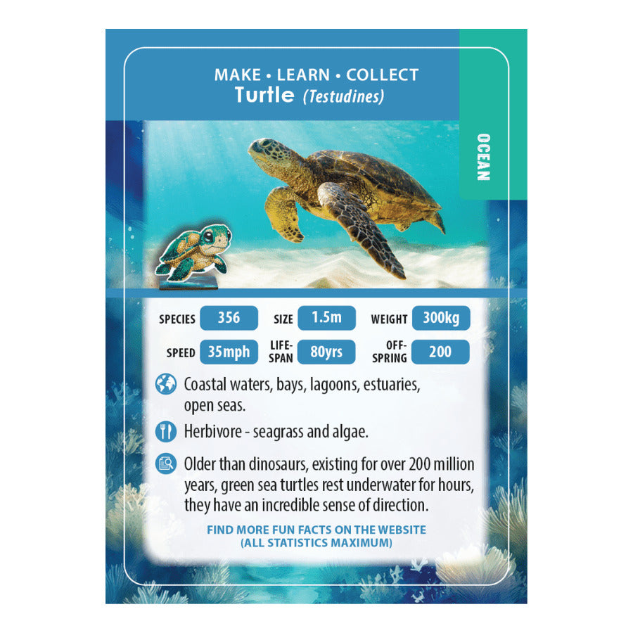 Turtle Crystal Art Buddy Craft Kit Age 6+