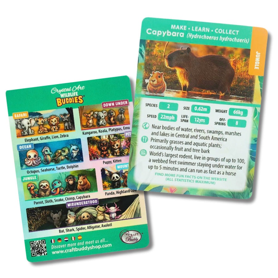 Capybara Crystal Art Buddy Craft Kit Age 6+