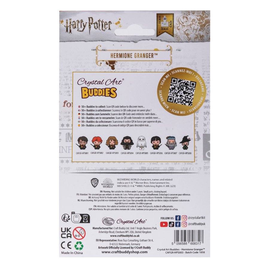 Harry Potter: Hermione Granger Crystal Art Buddy Craft Kit Age 6+