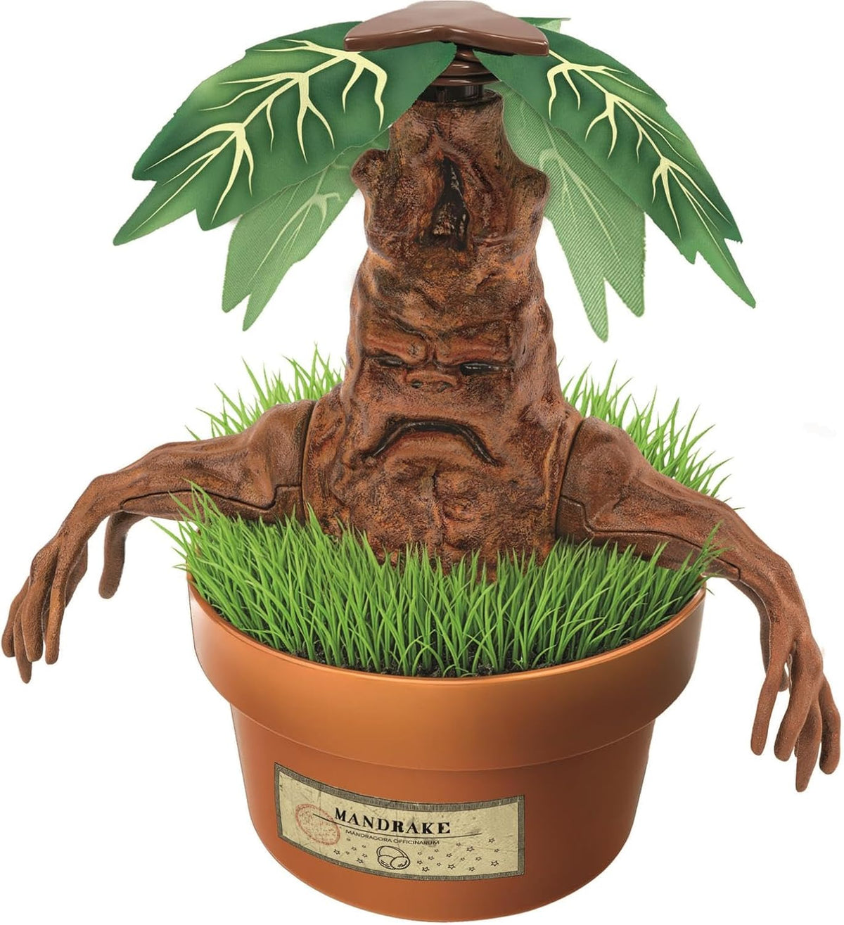 Harry Potter Mandrake Terrarium Kit Age 7+ Clementoni 19458
