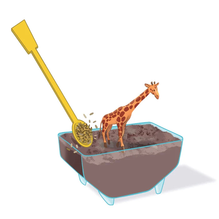 Clementoni Science & Play Lab: My Wild Terrarium - Giraffe STEM Toy Age 7+