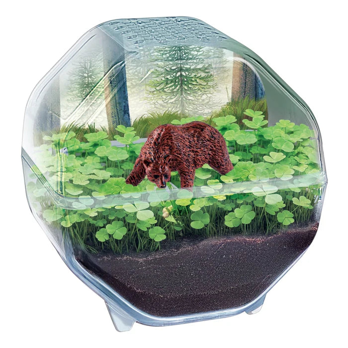 Clementoni Science & Play Lab: My Wild Terrarium - Bear STEM Toy Age 7+