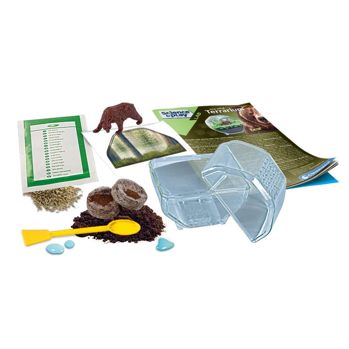 Clementoni Science & Play Lab: My Wild Terrarium - Bear STEM Toy Age 7+