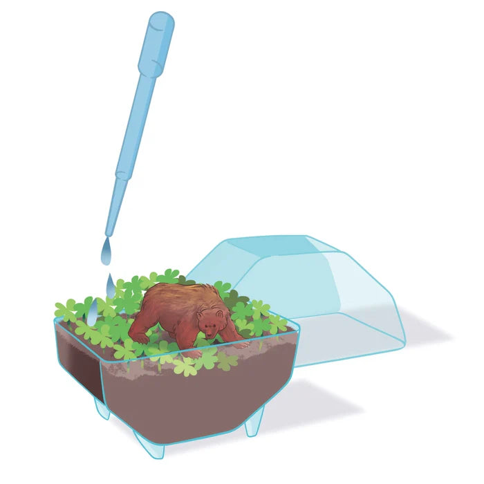 Clementoni Science & Play Lab: My Wild Terrarium - Bear STEM Toy Age 7+