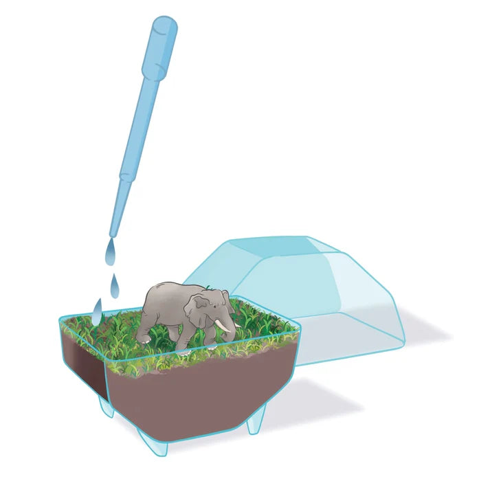 Clementoni Science & Play Lab: My Wild Terrarium - Elephant STEM Toy Age 7+