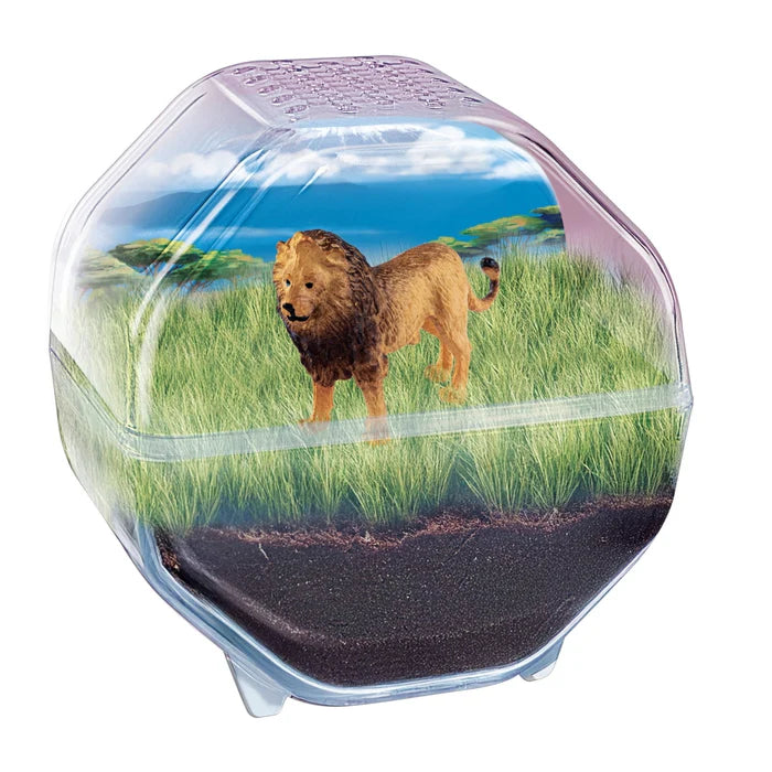 Clementoni Science & Play Lab: My Wild Terrarium - Lion STEM Toy Age 7+