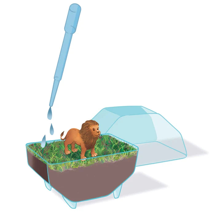Clementoni Science & Play Lab: My Wild Terrarium - Lion STEM Toy Age 7+