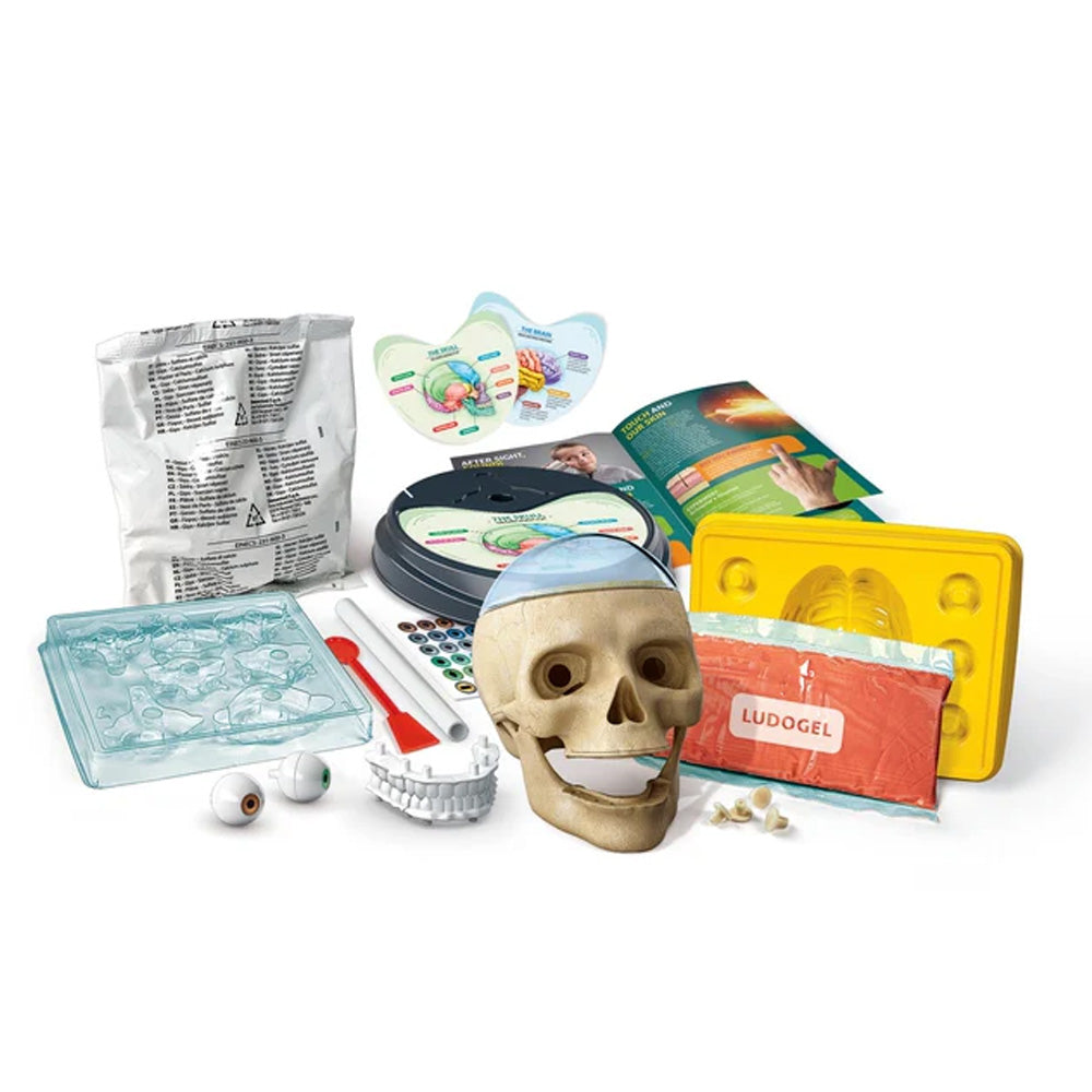 Clementoni Science & Play Lab: Crazy Anatomy Biology STEM Set Age 8+