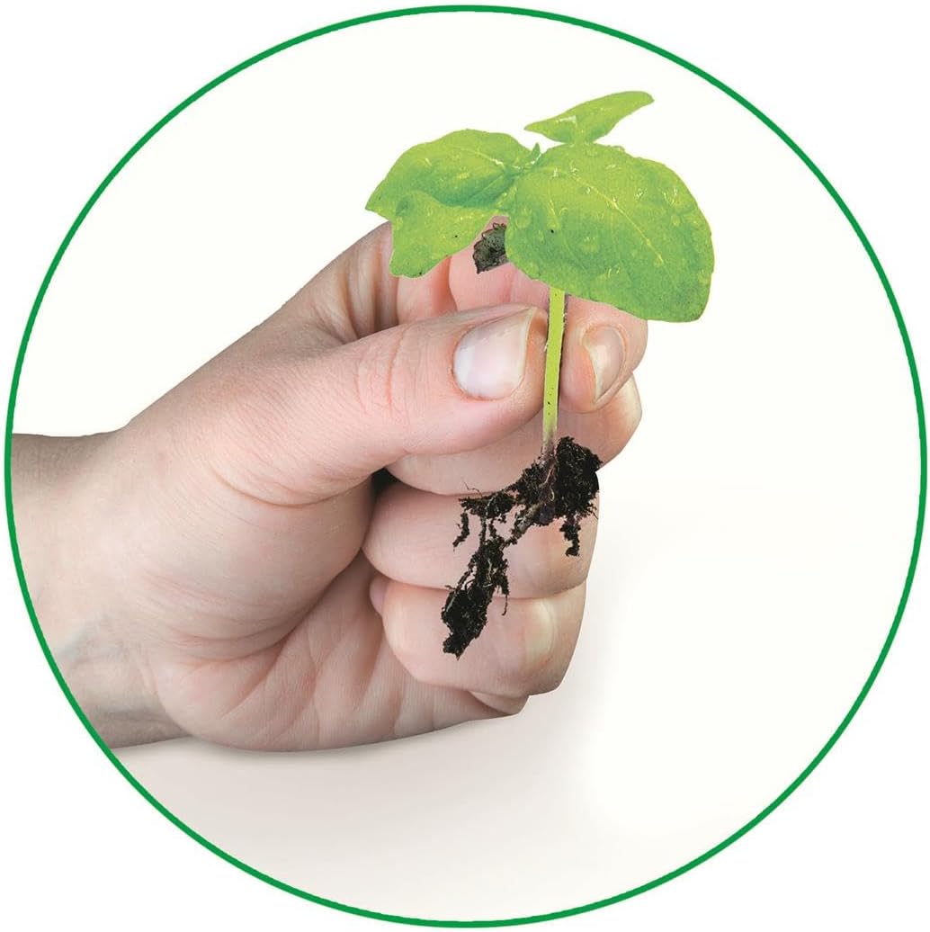 Clementoni Science & Play Lab: My First Greenhouse STEM Toy Age 7+