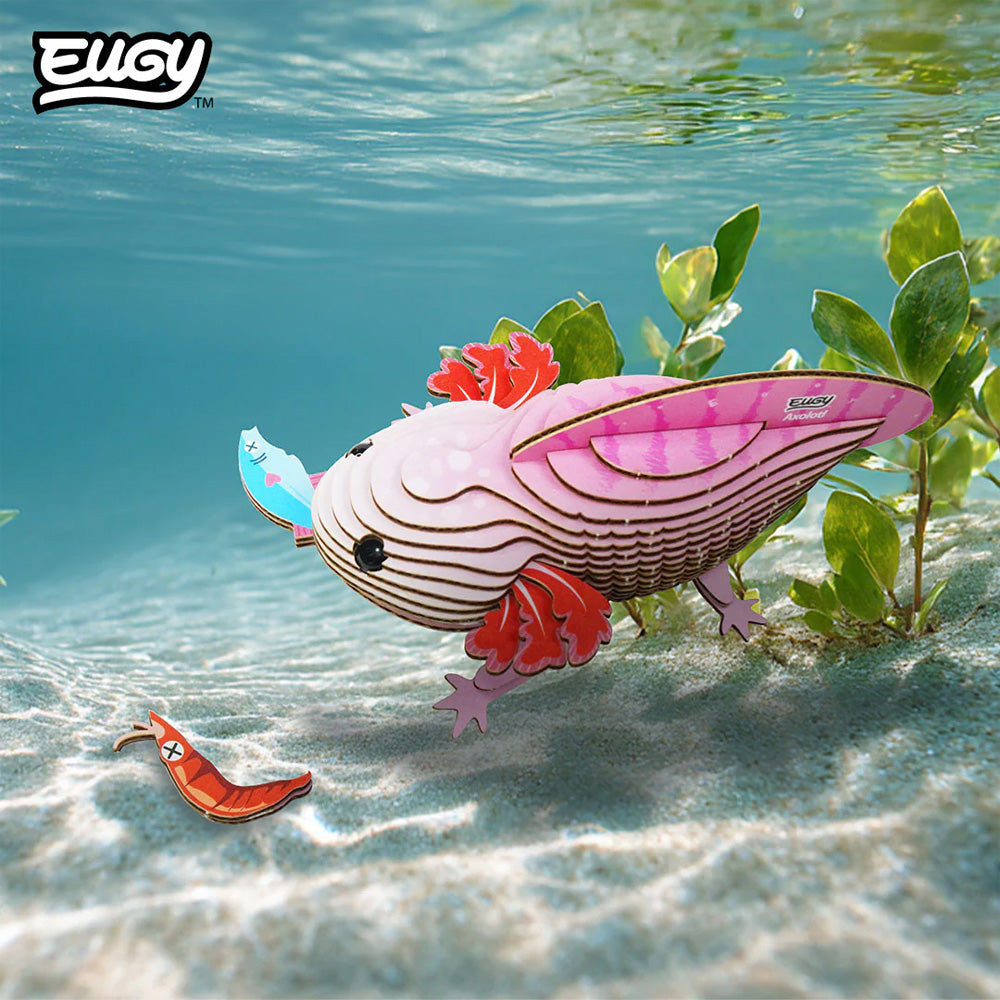 EUGY Axolotl No.139 3D Model Craft Kit