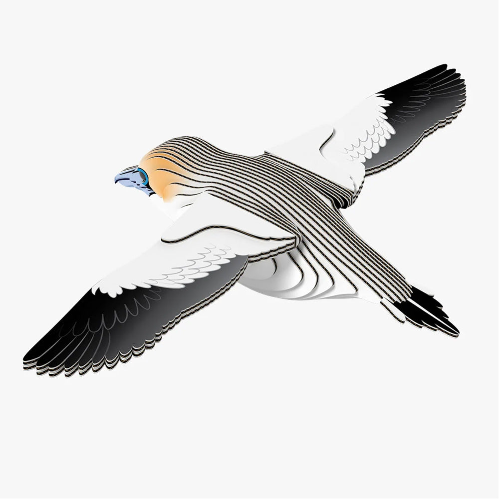 EUGY Gannet No.148 3D Model Craft Kit