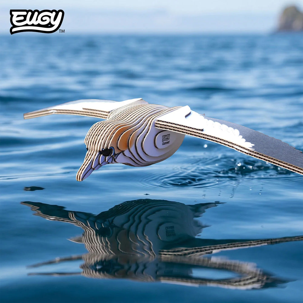 EUGY Gannet No.148 3D Model Craft Kit