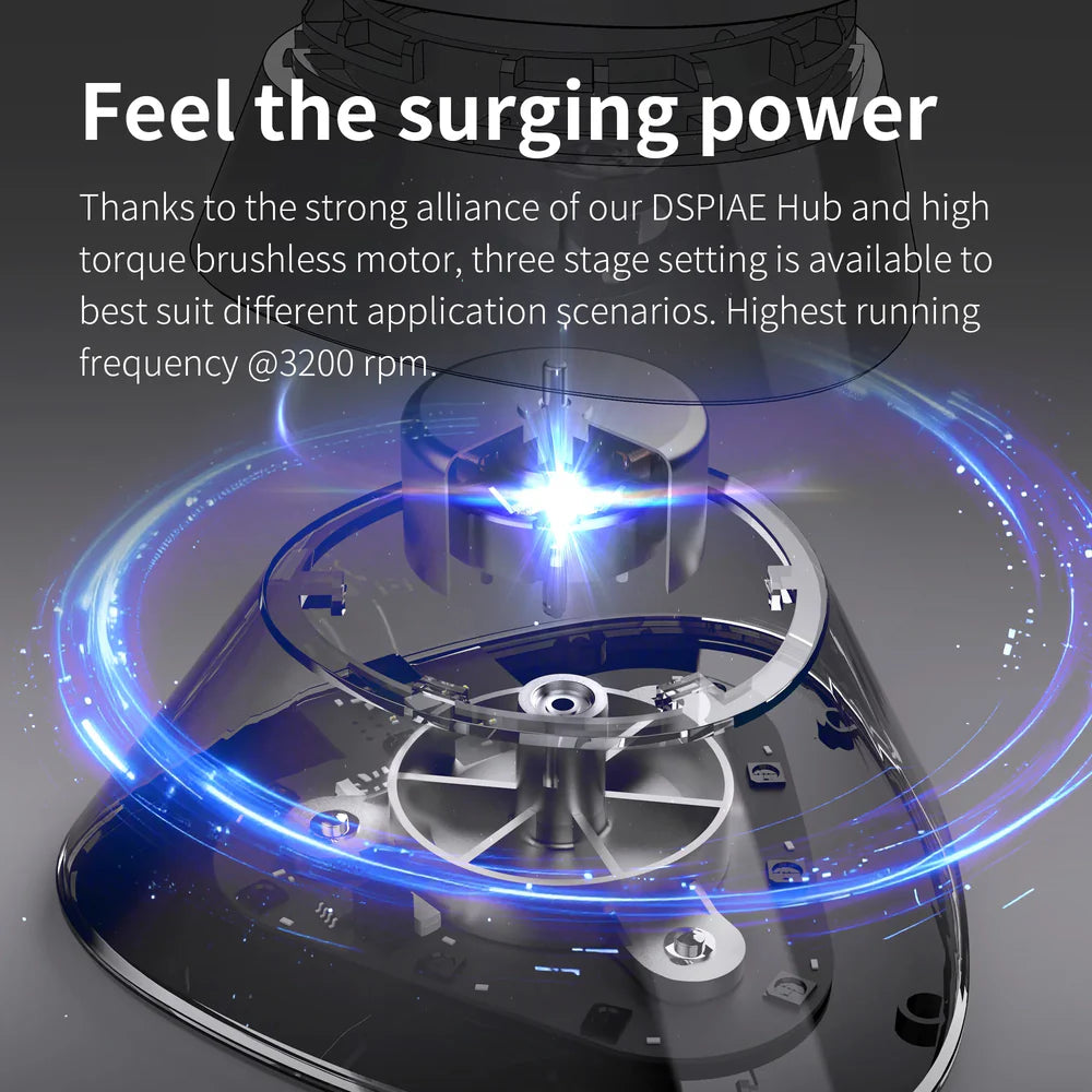 DSPIAE Oscillating Stirrer MS-02