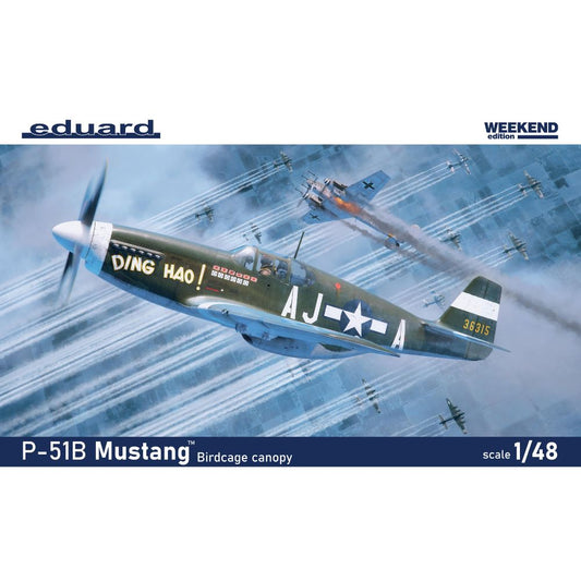 Eduard 84209 P-51B/C Mustang Birdcage Canopy 1:48 Model Kit
