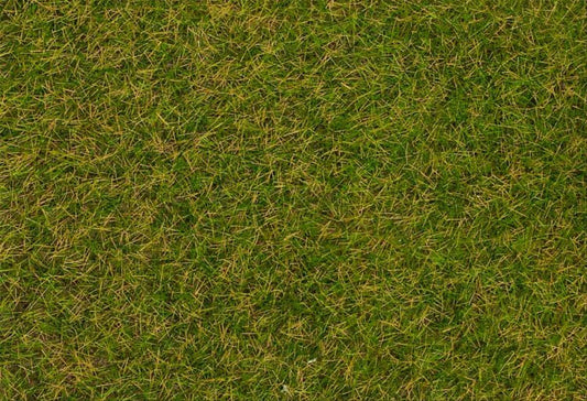 Faller 170206 Early Summer Lawn Wild Grass Fibres 4mm (30g)