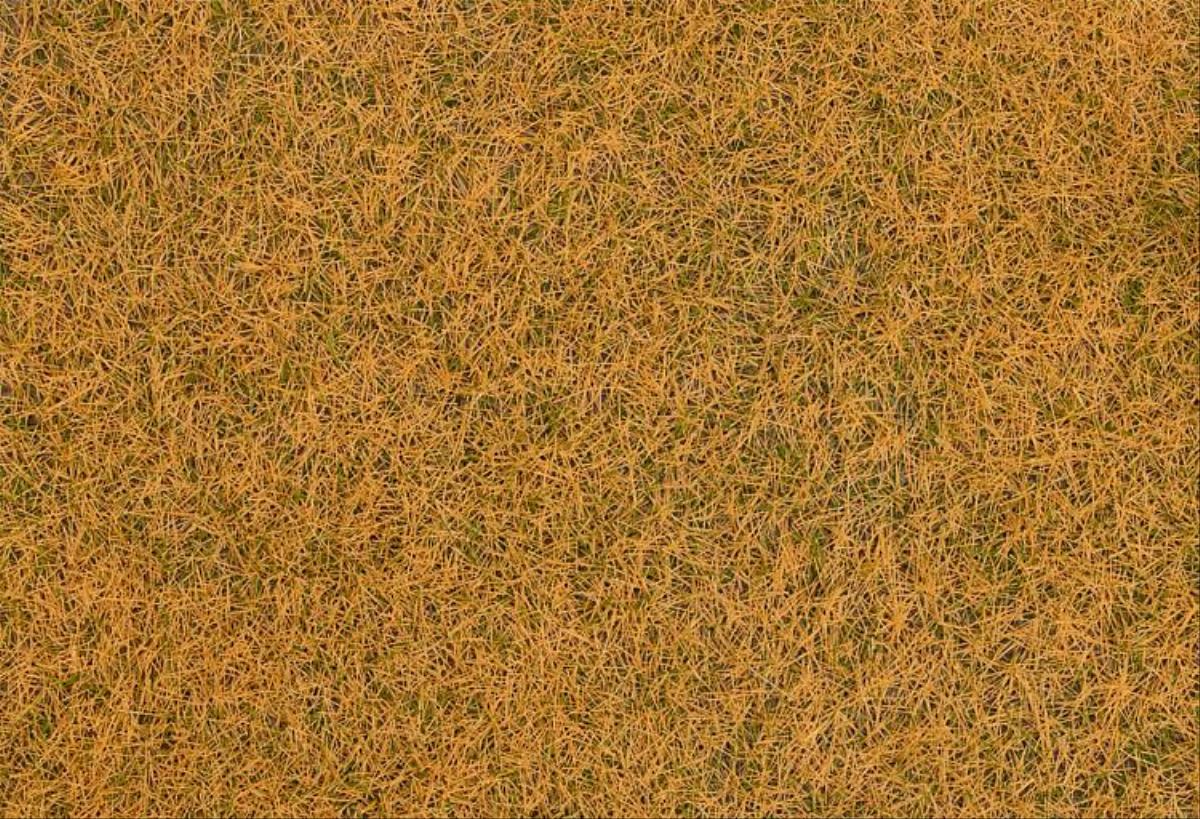 Faller 170235 Withered Wild Grass Fibres 4mm (80g)