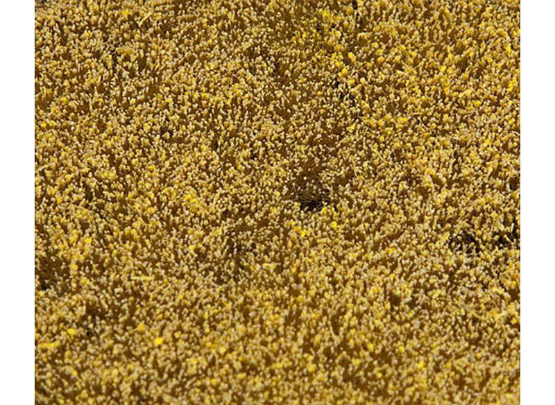 FALLER Cereal Field Landscape Segment 210x148x3mm HO Gauge 180466