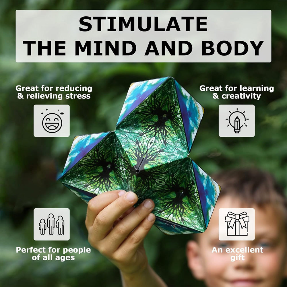 Shashibo: Earth - Mysterious Magnetic Puzzle Box - Over 70 Shapes!