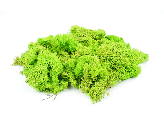 GAUGEMASTER Light Green Lichen 80g (GM164) GM1601