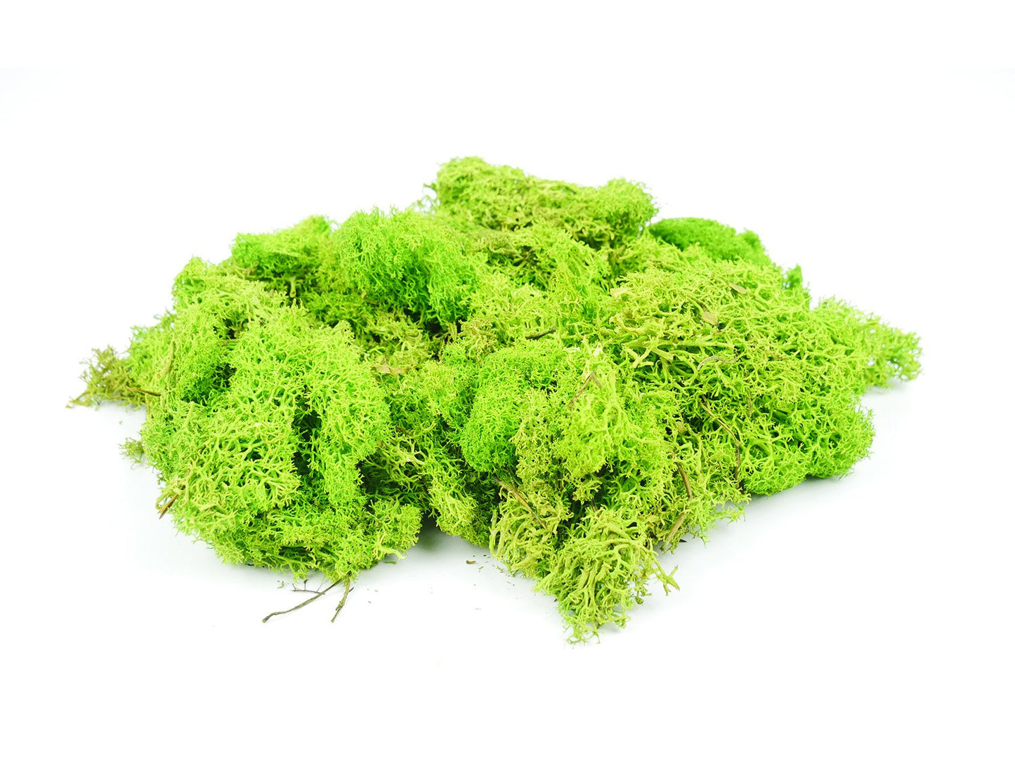 GAUGEMASTER Light Green Lichen 80g (GM164) GM1601