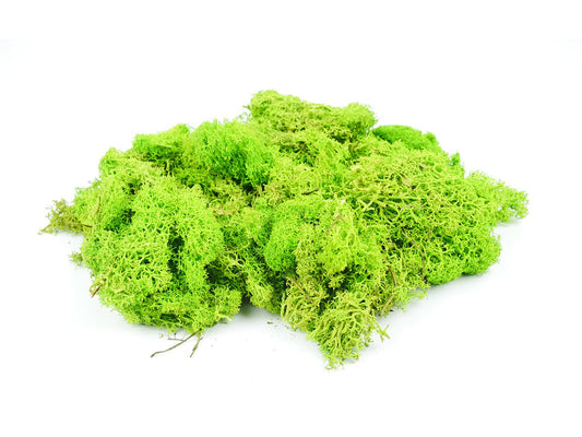 GAUGEMASTER Light Green Lichen 80g (GM164) GM1601