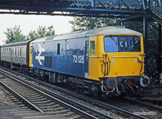 GAUGEMASTER Class 73 126 BR Large Logo Blue GM2210208 N Gauge