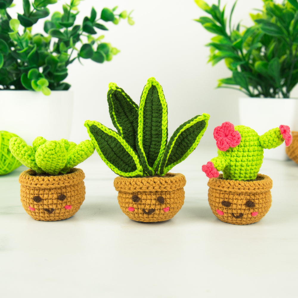Gift Republic Mini Houseplants DIY Crochet Trio Kit