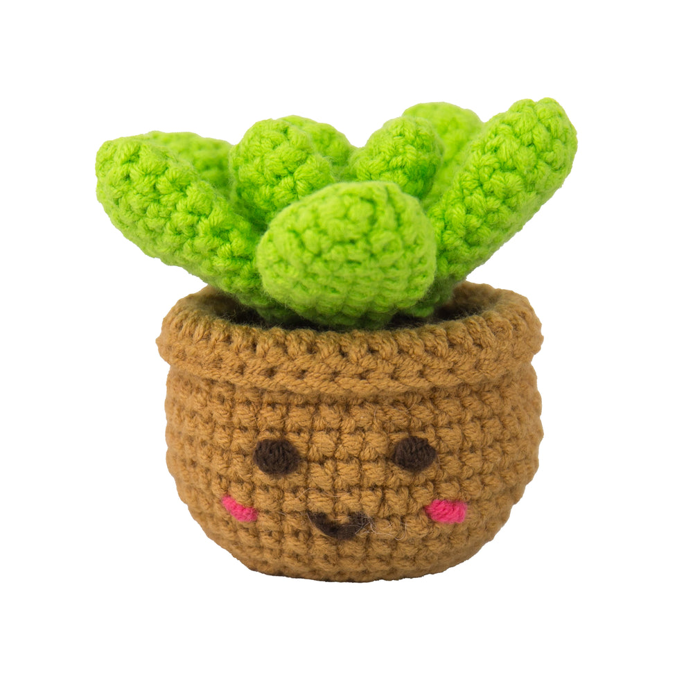 Gift Republic Mini Houseplants DIY Crochet Trio Kit
