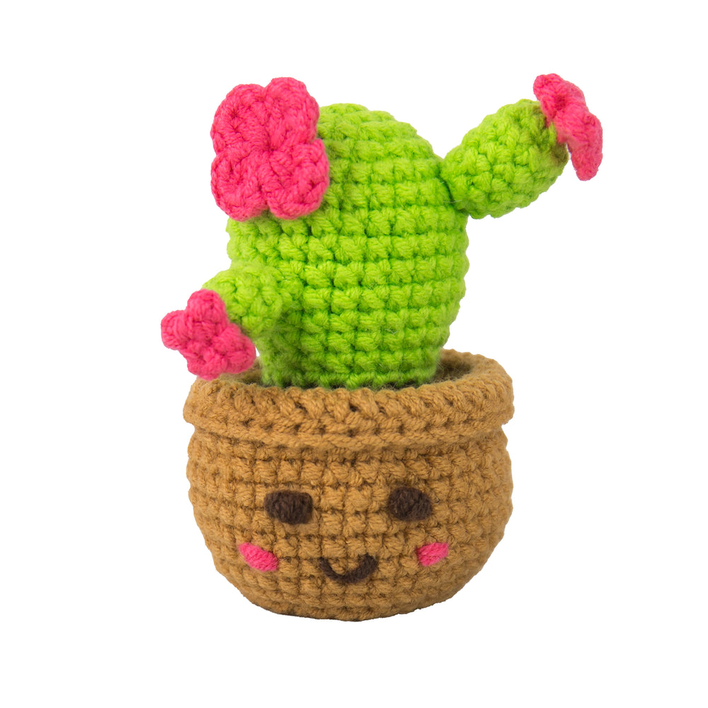 Gift Republic Mini Houseplants DIY Crochet Trio Kit