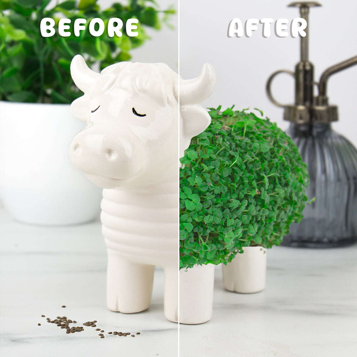 Gift Republic Highland Cow Chia Planter