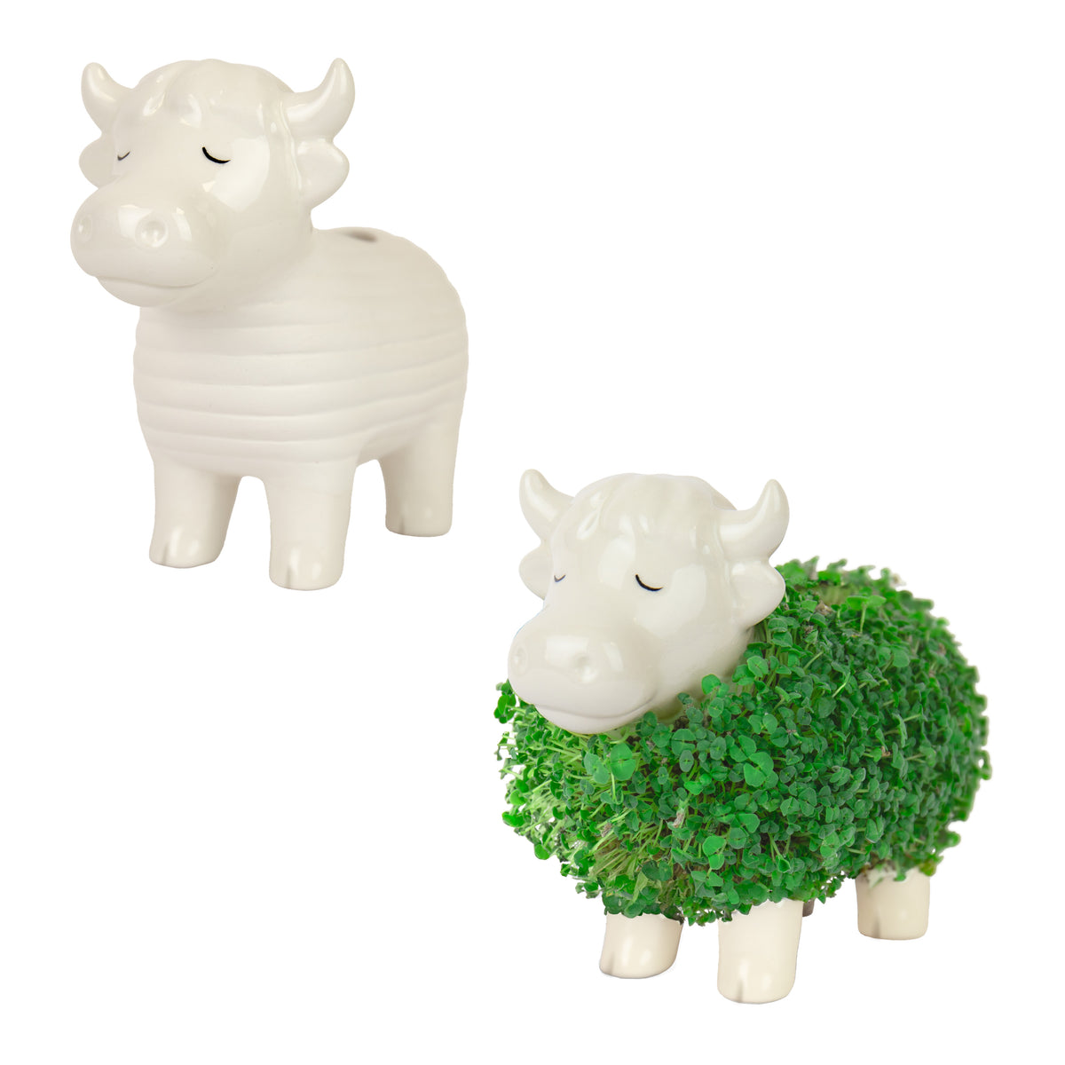 Gift Republic Highland Cow Chia Planter