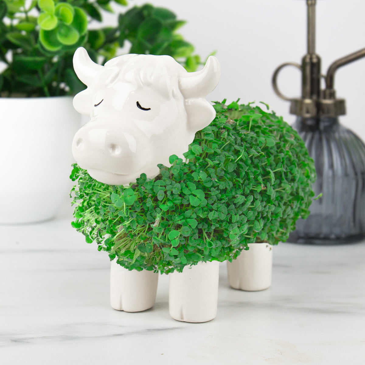 Gift Republic Highland Cow Chia Planter