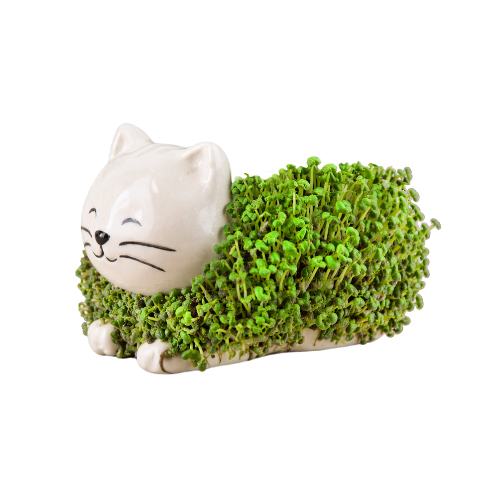Gift Republic Mini Chia Planter - Cat, Dog or Hedgehog