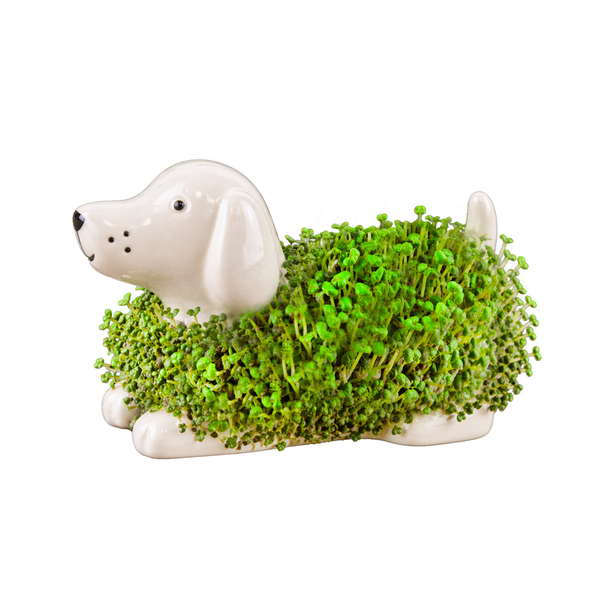 Gift Republic Mini Chia Planter - Cat, Dog or Hedgehog