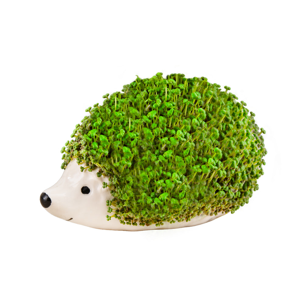 Gift Republic Mini Chia Planter - Cat, Dog or Hedgehog