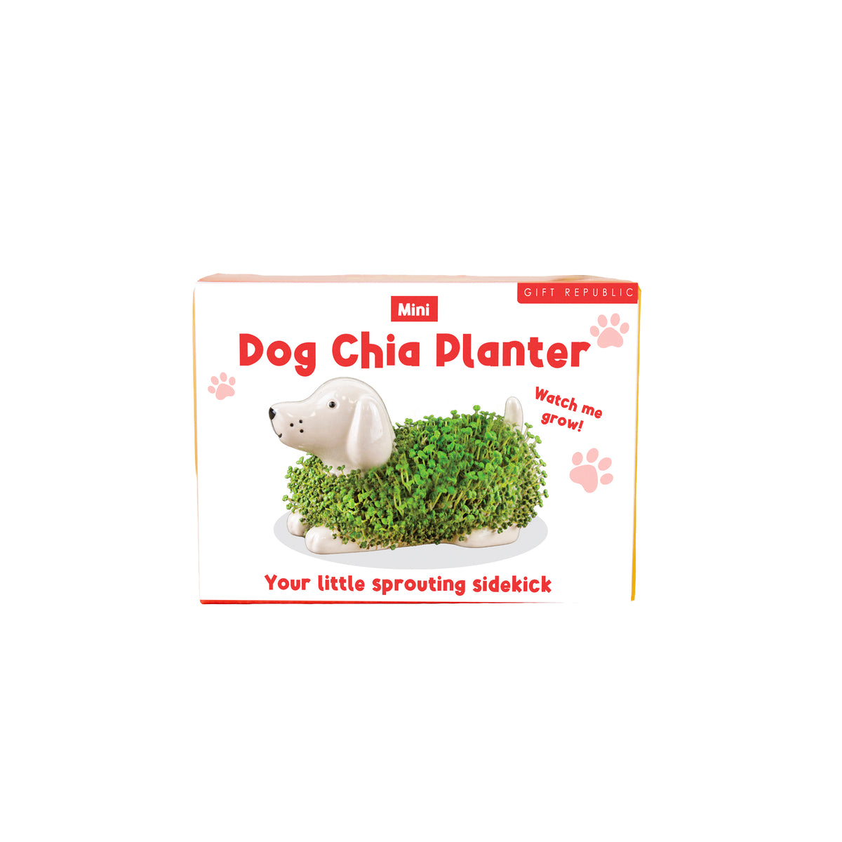 Gift Republic Mini Chia Planter - Cat, Dog or Hedgehog