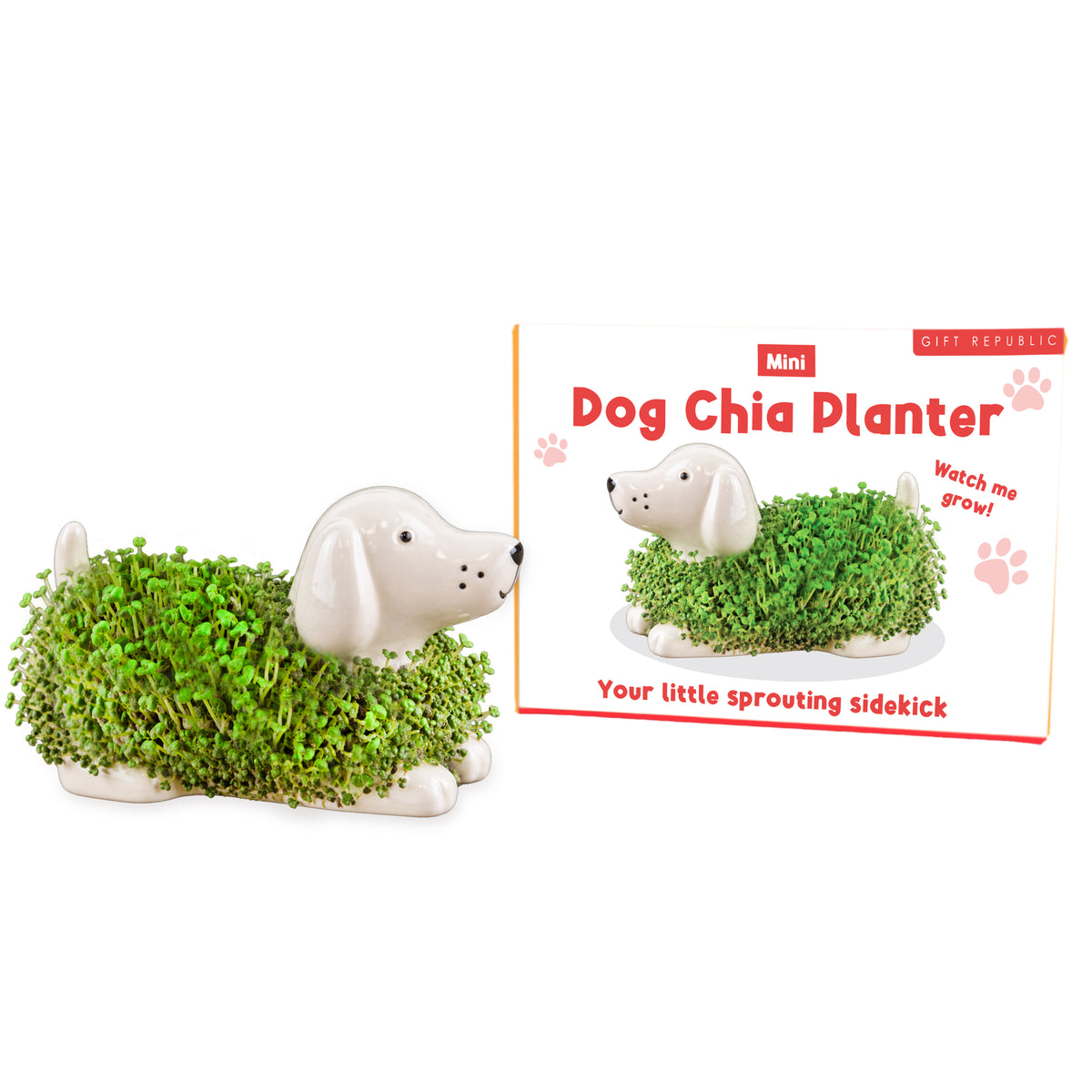 Gift Republic Mini Chia Planter - Cat, Dog or Hedgehog