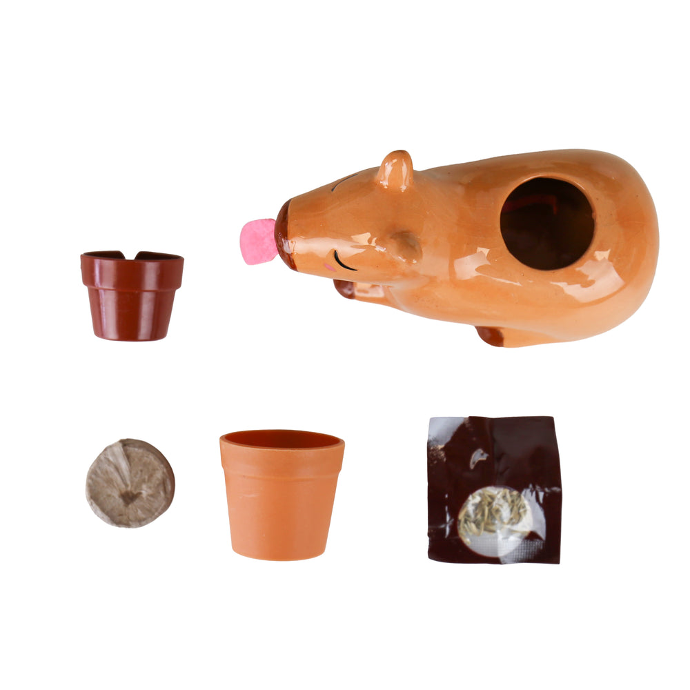 Gift Republic Self-Watering Capybara Planter