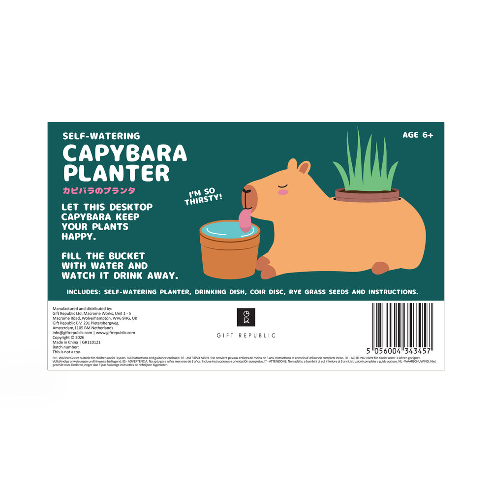 Gift Republic Self-Watering Capybara Planter