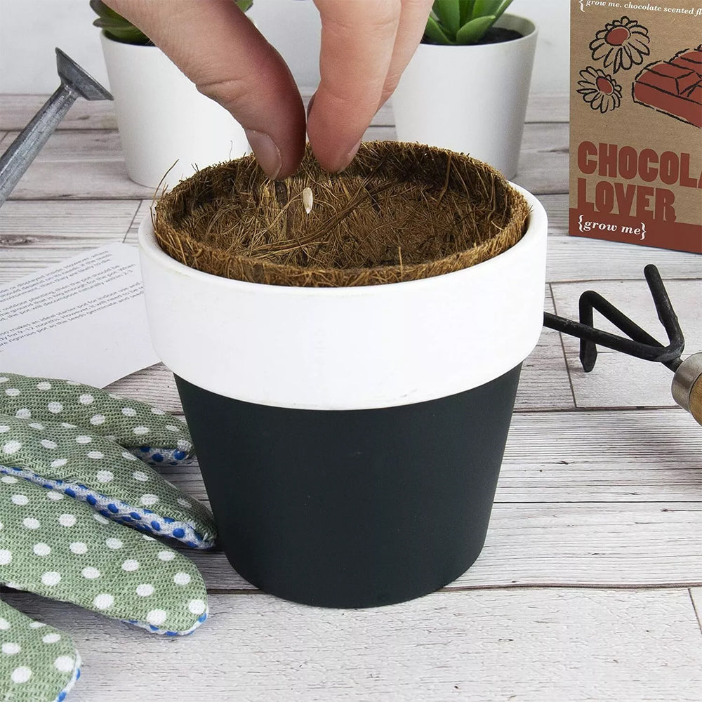 Gift Republic Grow Me: Chocolate Lover - Grow Chocolate Scented Flowers!