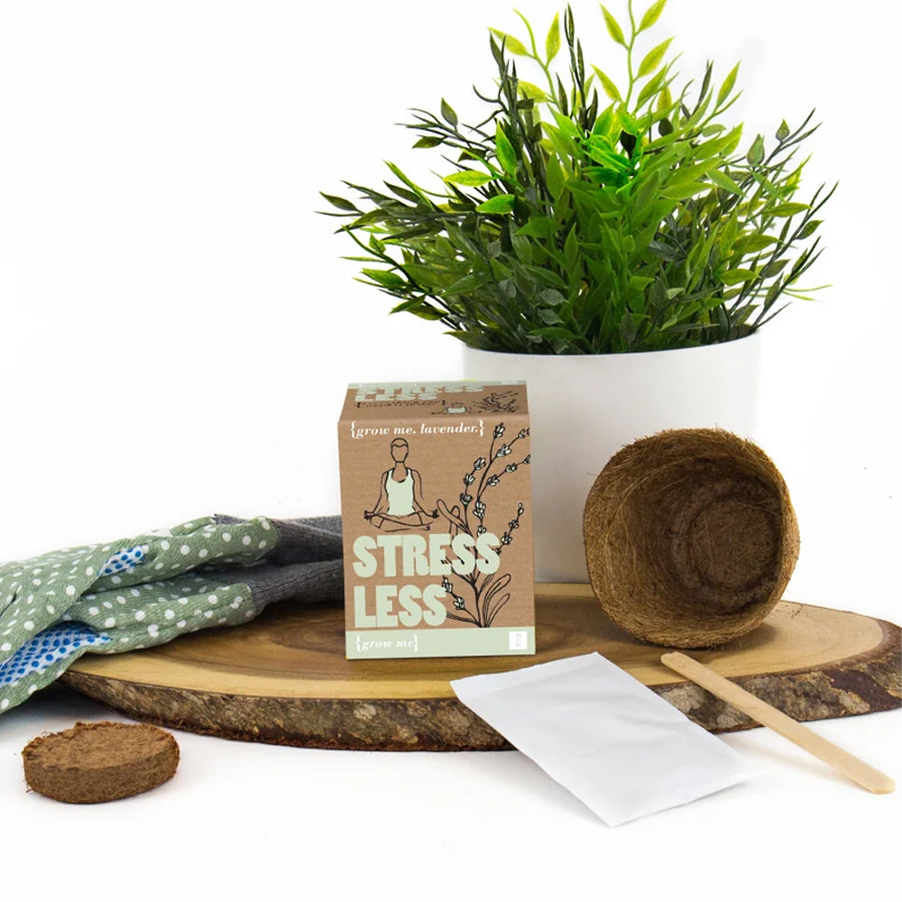 Gift Republic Grow Me: Stress Less - Grow Your Own Lavender Plant!