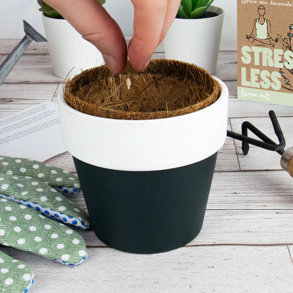 Gift Republic Grow Me: Stress Less - Grow Your Own Lavender Plant!