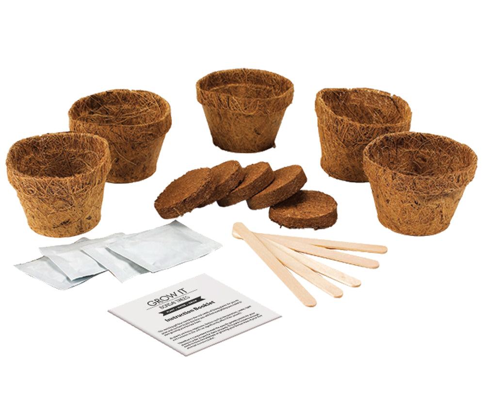 Gift Republic Grow It: Bonsai Trees