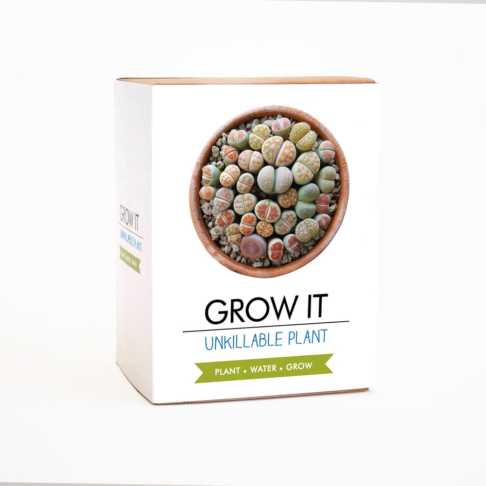 Gift Republic Grow It: Unkillable Plant