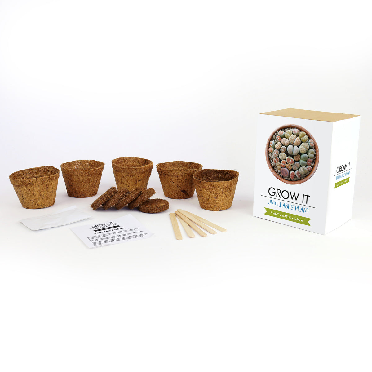 Gift Republic Grow It: Unkillable Plant