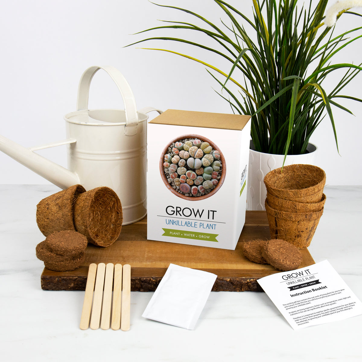 Gift Republic Grow It: Unkillable Plant