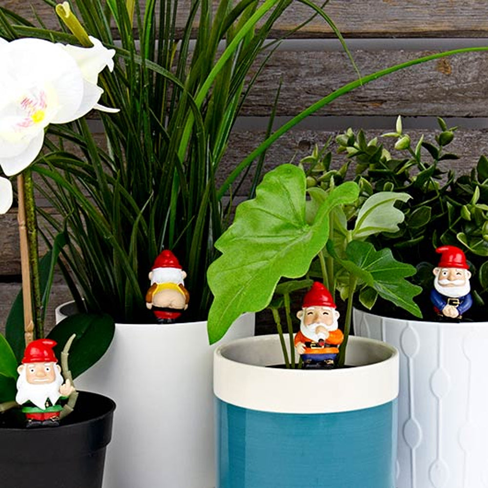 Gift Republic Naughty Gnomes - Novelty Plant Pot Surprises…!