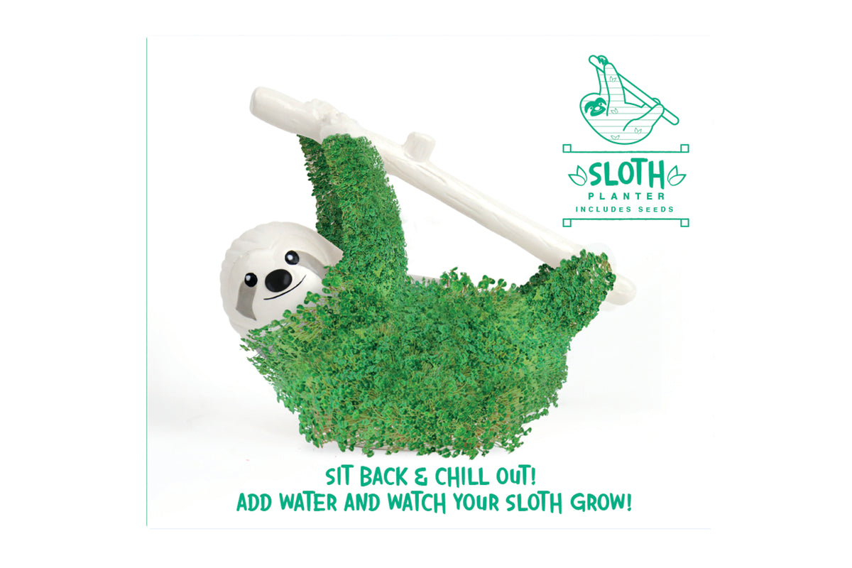 Gift Republic Sloth Planter with Seeds