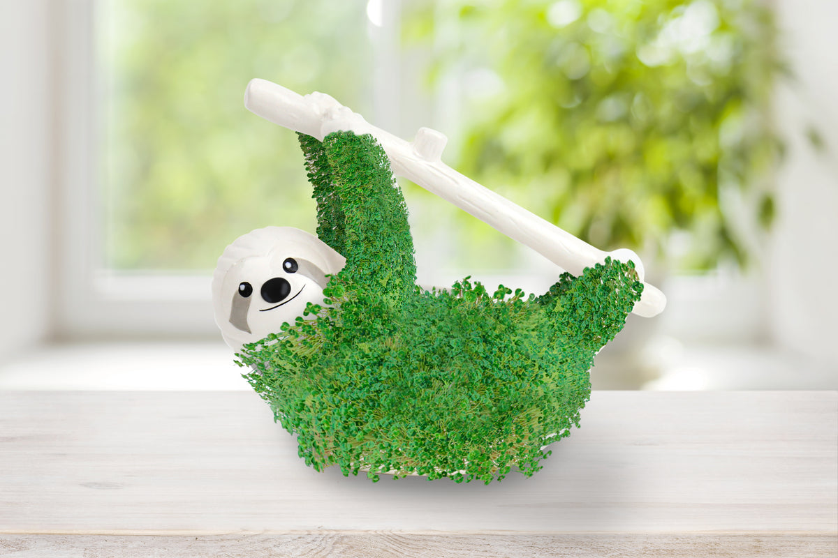 Gift Republic Sloth Planter with Seeds